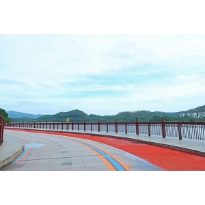 市中间地标VSport综合+1！东莞这条环湖路完成提拔革新