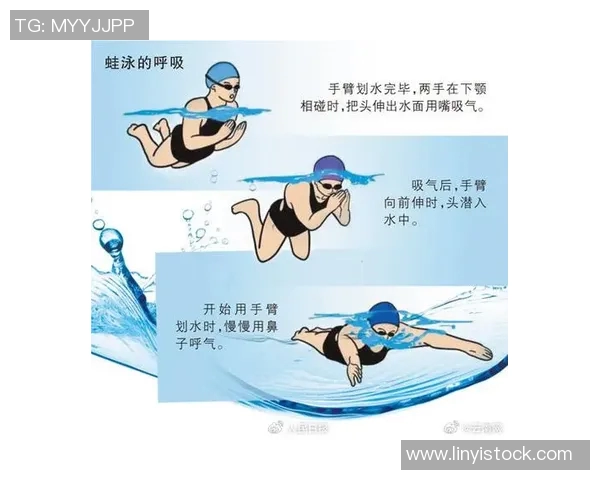 提高游泳水平从基础开始掌握这些关键技巧轻松入门逐步精通