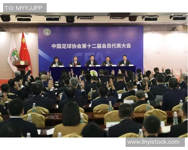 中国足球协会推进改革加强青训体系建设提升国内足球水平的战略举措