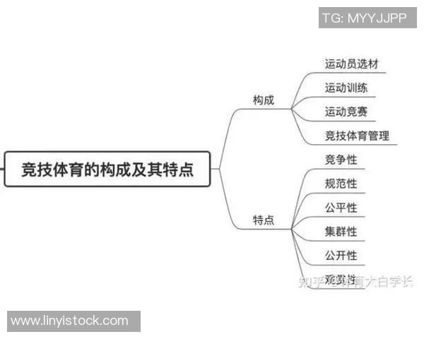 竞技体育的核心目标与发展方向探析:提升竞技水平与培养全面人才 竞技体育的核心目标与发展方向探析:提升竞技水平与培养全面人才