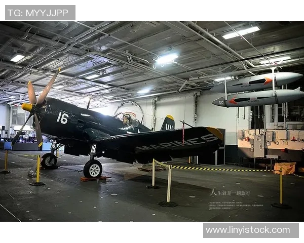 纽约尼克斯崛起之路：从重建到争冠的转折与未来展望