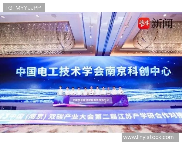 南京飞盘队的反击革新之路探索与未来展望