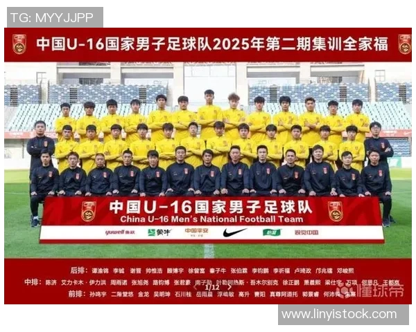 中国球迷心目中的足球明星榜单及其影响力分析