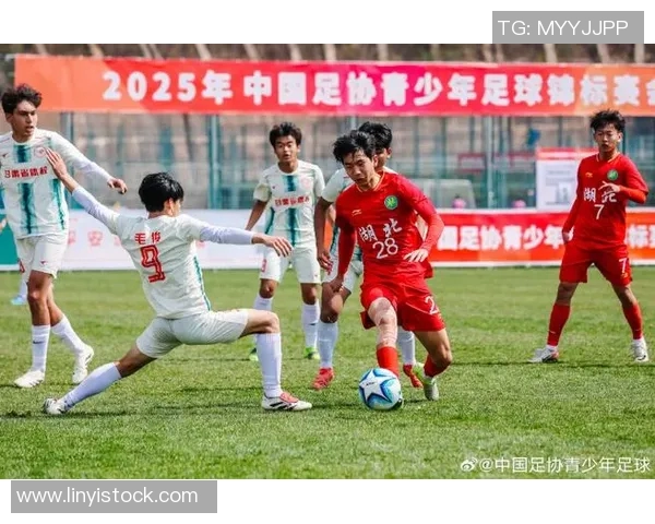 中国足球明星的崛起与发展探讨纯粹足球精神的传承与未来
